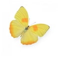 thumbnail image 2 of Yellow Butterfly White Wall Mural Decal by Wallmonkeys Vinyl Peel and Stick Graphic (24 in W x 23 in H), 2 of 4