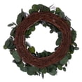 thumbnail image 2 of Vickerman 24" Artificial Green Silver Dollar Populus Eucalyptus Wreath, 2 of 5