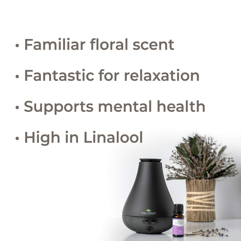 Plant Therapy Lavender Essential Oil 100% Pure, Undiluted, Natural  Aromatherapy, Therapeutic Grade 30 mL (1 oz) 1 Fl Oz