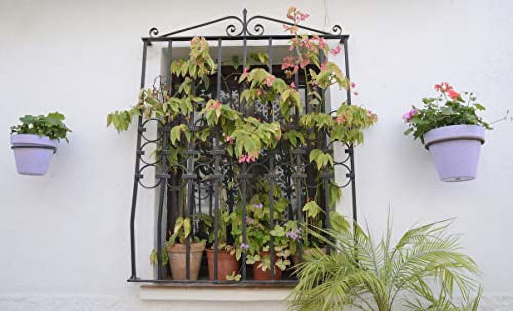 Darware Metal Wall Ring Planters with Pots (4-Pack, 8-Piece Set); Wall Mounted Clay Pots with Holders for Plants and Flowers