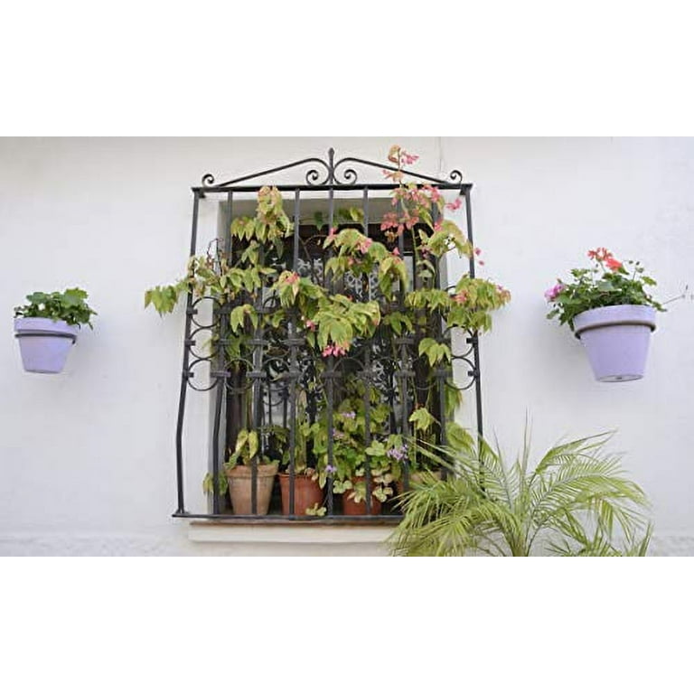 Darware Metal Wall Ring Planters with Pots (4-Pack, 8-Piece SET); Wall Mounted Clay Pots with Holders for Plants and Flowers
