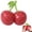 red, variant on Nkmbld Strawberry Stress Balls Squeeze, Slow Rising Squishies Toys, Giant Stretchy Fidget Toys for Stress Relief, Anti-Anxiety and Fidget Balls for Goodie Bag Stuffers