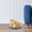 Gray, variant on Soft Plush Round Pet Bed for Cats or Small Dogs, Mini Medium Sized Dog Cat Bed Self Warming Autumn Winter Indoor Snooze Sleeping Cozy Kitty Teddy Kennel, Round Fluffy Plush Faux Fur Pet Bed