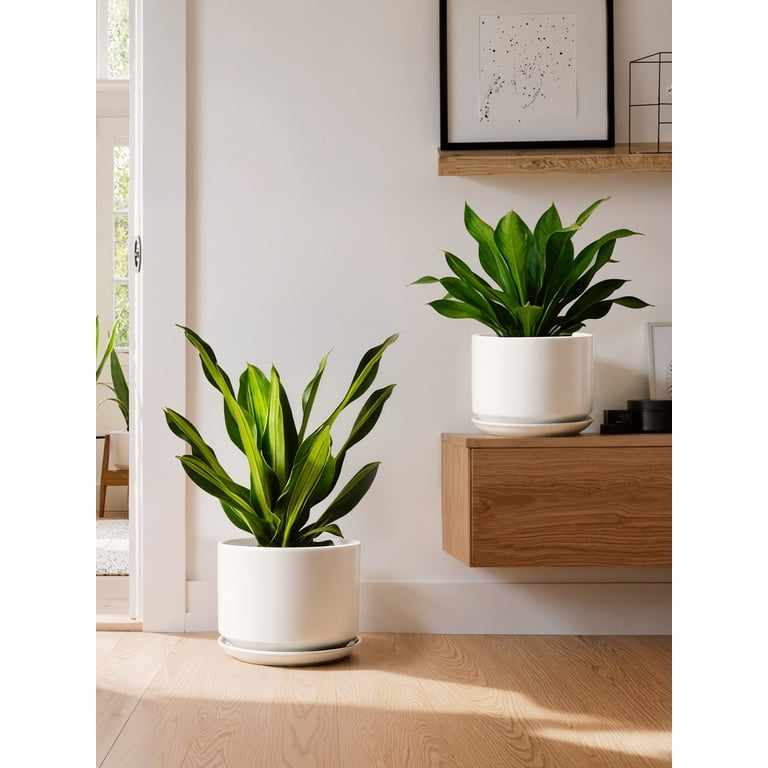 BEMAY 10 Inch White Ceramic Planter Pot photo 5