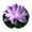 Violet, variante sur Sktrjpolfis Lumières DEL Lotus Flottantes, Lot de 6 Lumières Flottantes Étanches pour Piscine, Lampes Décoratives à Fleurs Flottantes pour Étang, Jardin, Piscine, Déco de Patio