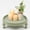 Vintage Sage Green, variant on Aged Bronze Round Metal Decorative Tray, 11.8-inch, Centerpiece for Dining, Entryway and Living Spaces