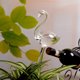 thumbnail image 2 of Dispositivo de Riego Automático para Plantas de Jardín, de Interior, con Forma de Caracol., 2 of 7