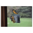 thumbnail image 5 of CintBllTer Window Mount Single Suet Cake Woodpecker Feeder, 5 of 8