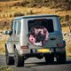 thumbnail image 5 of Balery Cute Kittens Group Portrait Cubiertas para Neumáticos - Protector Resistente para Neumáticos de Camioneta, SUV, Remolque, Camper y RV-16 inch, 5 of 6