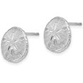 thumbnail image 2 of Solid 14k White Gold Sand Dollar Post Earrings - 11.3mm, 2 of 6