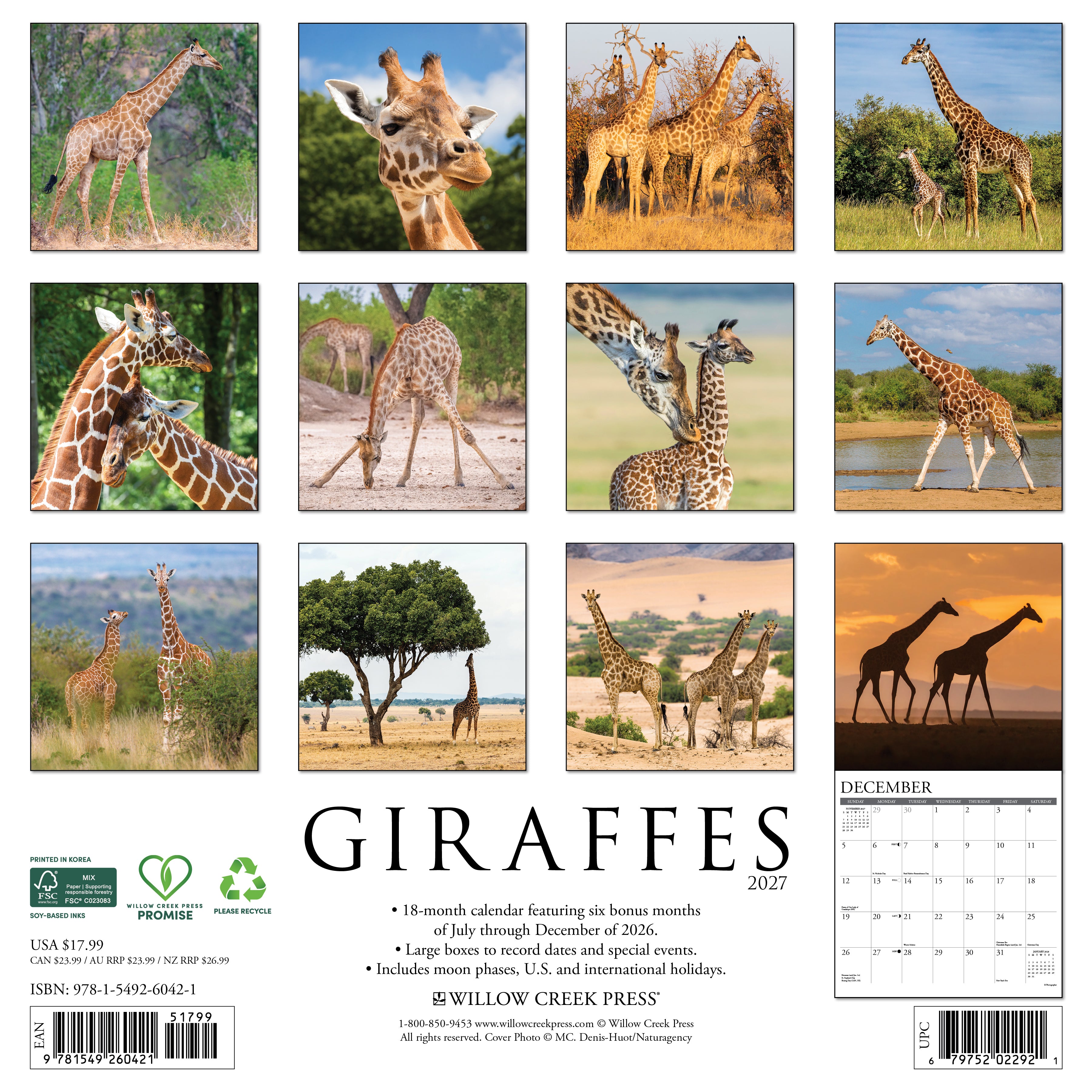 Willow Creek Press, Giraffes 2027 Wall Calendar