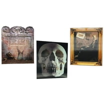 Halloween Large Holographic Pictures (3 Pack) 17 x 13.5 in - Decorations 3D Wall Decor Stull Cemetery Ghost Party