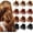 Tortoise-A, variant on 12 count 1.6" Small Claw Clips for Women Girls, Double Row Hair Clip for Thin/Fine/Medium Hair, Tortoise Shell & Black Non-Slip Jaw Clips Cute Accessories for Half Up Half Down