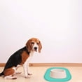 thumbnail image 4 of Dog Feeding Mat with Raised Edge Design for Spill Containment and Floor, 4 of 5