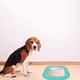 thumbnail image 5 of Mantel Individual para Perros Mascotas con Bordes Levantados Antiderrames Mantener Suelos Limpios Mantel Individual para Perros a Prueba de Fugas, 5 of 6