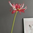 thumbnail image 5 of Wedding Other Shore Flower DIY Silk Photography Decoration Artificial Flowers Simulation Manzhushahua Pseudo  Lycoris Bouquet 60cm RED STAMEN, 5 of 8