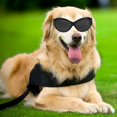 thumbnail image 2 of Gafas para perros, mascotas, pequeñas, medianas, ajustables, impermeables, gafas de terre, disfraz de , gafas, suministros de protección contra la Negro Marco Gris Len Yinane Mascotas gafas, 2 of 6