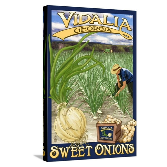 Art.com Vidalia, Georgia - Onion Field Stretched Canvas Print Wall Art by Lantern Press, 16" x 24"