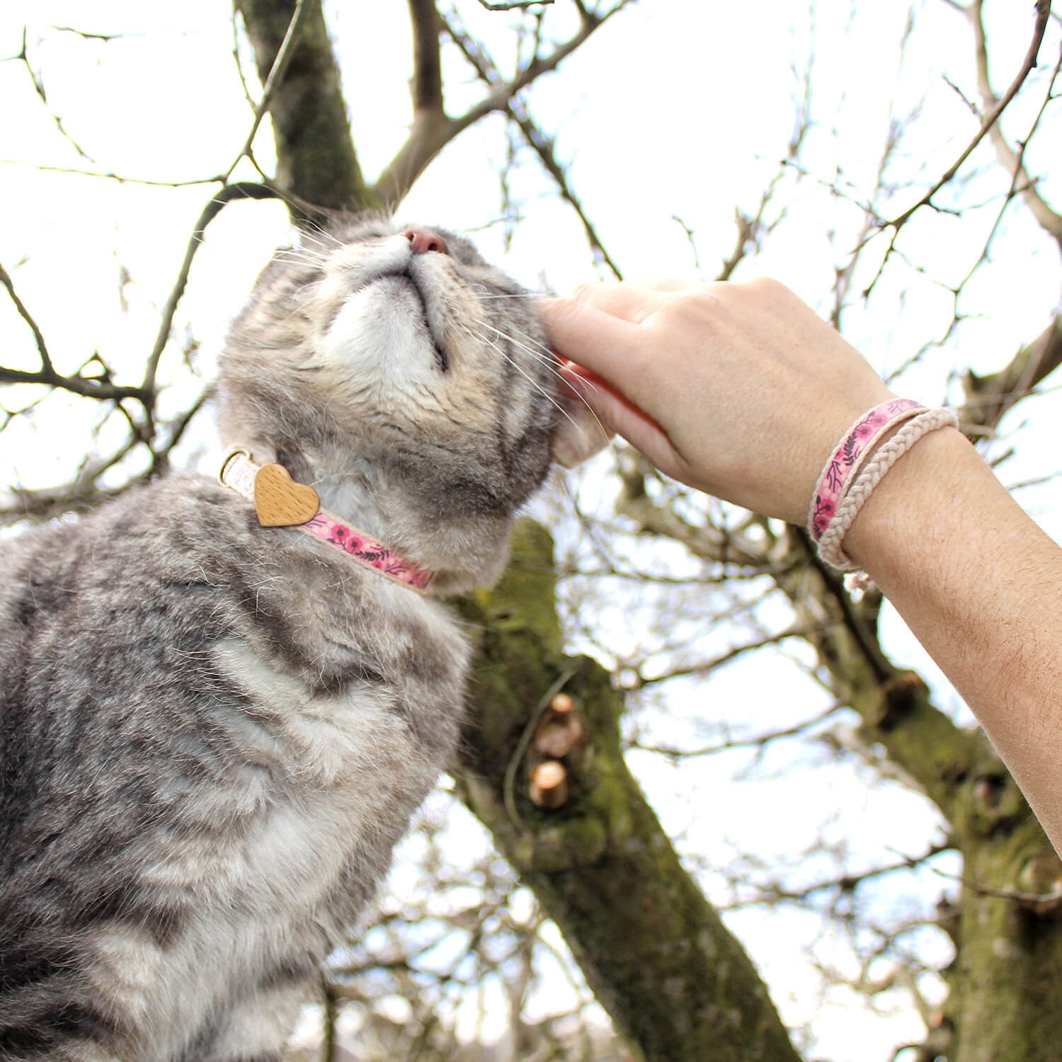Pettsie Pink Breakaway Cat Collar Heart and Matching Friendship Bracelet in Earth-Friendly Gift Box