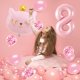 thumbnail image 4 of Set de Globos de Gato Wclliuchi Número 8 Rosa para Cumpleaños, 4 of 7