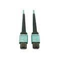 thumbnail image 2 of Eaton Tripp Lite Series 400G Multimode 50/125 OM4 Plenum-Rated Fiber Optic Cable, 24F MTP/MPO-PC (F/F), Aqua, 5 m - Network cable - MTP/MPO/PC multi-mode (F) to MTP/MPO/PC multi-mode (F) - 5 m - fiber optic - 50 / 125 micron - OM4 - plenum - black, aqua, 2 of 4