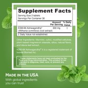 EZ Melts Dissolvable KSM-66 Ashwagandha, 300 mg, Sugar-Free, Stress, Sleep and Mood Support Supplement, 30-Day Supply, Peppermint Chill-Flavor - 1 Pack