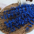thumbnail image 3 of NOGIS 5 PCS Jasmine Artificial Flowers,29.5" Long of Fake Flowers,Faux Flowers Artificial Flowers for Decoration,Vase Filler for Hotel Home Office Kitchen Bedroom Wedding Party DIY Decor (Blue), 3 of 7