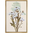thumbnail image 4 of IDEA4WALL Framed Canvas Print Wall Art Alaska Forget-Me-Not State Flower Floral Plants Illustrations Multicolor Rustic Minimal Wall Decor for Living Room, Bedroom, Office - 24"x36" Natural, 4 of 5