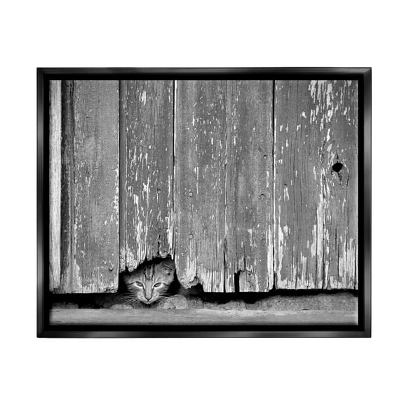 Stupell Industries Rustic Cat Peeking Animals & Insects Photography Black Floater Framed Canvas Art Print Wall Art, 21 x 17
