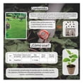 thumbnail image 3 of Semillas Pasto Transito Pesado y Campos Deportivos Hortaflor, 3 of 5