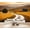 Color 2, variant on Wallpaper Golden Wheat Field Round Bales Lone Tree Dramatic Cloudy Sky Peel and Stick Wall Murals 69"H x 96"W Removable PVC Wall Paper Self-Adhesive Wall Paintings Art Decor for Bedroom Living Room
