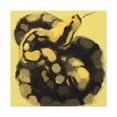 thumbnail image 1 of Ball Python Expressionism - Canvas, 1 of 10