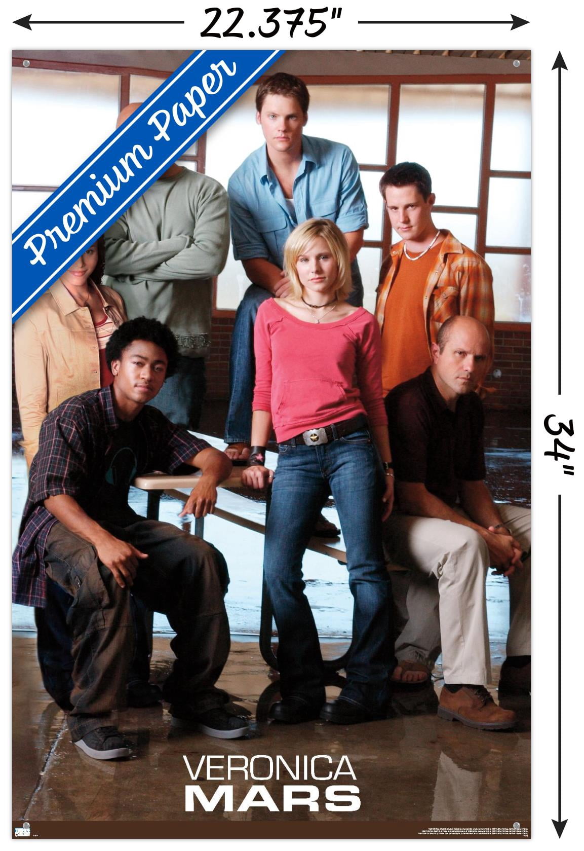 Veronica Mars - Group Wall Poster with Pushpins, 22.375" x 34"