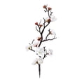 thumbnail image 2 of White Plum Branches (30Cm)—Silk Blossoms on Dark Stems, Bendable for Vases Or Wall Art. Chinese New Year? Mother’S Day? Yes. (Plastic, 1Pc), 2 of 9