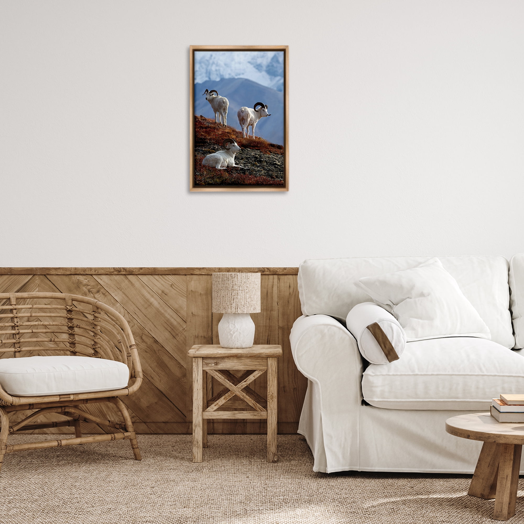 Stupell Industries Dall Sheep on Cliff Landscape & Nature Photography Brown Floater Framed Canvas Art Print Wall Art, 17 x 25