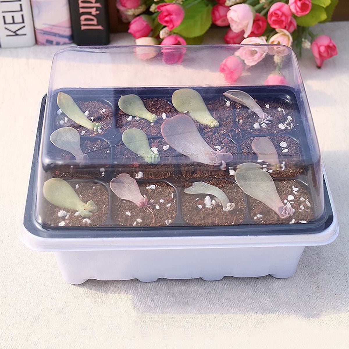 FRCOLOR  Nursery Box Set Sprouting Kit Seedling Starter Trays Plants Seeds White