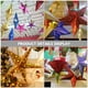 thumbnail image 4 of Pantalla de papel con farol de estrella, pantalla colgante de Navidad, pantallas de lámpara de papel plegables, 6 uds., 4 of 5