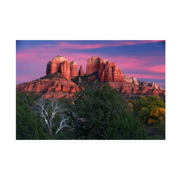 Trademark Fine Art Cora Niele Stylisch Rose Pink Canvas Wall Art - 30x47