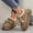 Khaki, variant on Loafers for Women Fall Winter Plush Lined Fashion Strap Design Platform Flats Casual Outdoor Warm Round Toe Shoes