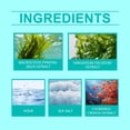 thumbnail image 4 of Fiudx Spray Capilar Sal Marina, Volumen y Volumen, Champú Seco Refrescante Sin Aceite, Cuidado Capilar Reparador Natural, Uso Diario para Hombres y Mujeres, Tamaño de Viaje 100 Ml, 4 of 7
