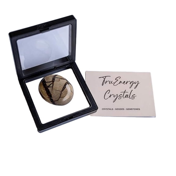 TruEnergy Septarian Palm Stone - 2"