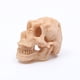 thumbnail image 4 of Resina Skulls Crafts Decoraciones del tanque de peces Aquarium Regalos de cumpleaños para mujeres Accesorios decorativos Festival en caja Paquete 6 piezas Inevent OD003132-03, 4 of 7