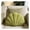 Green, variant on Dusty Blue Seashell Throw Pillows, Shell Shaped Throw Pillows, 13 Inch Soft Home Decorative Pillow Plush Cushion for Bed Couch Living Sofa Room Decor Accent Throw Pillow