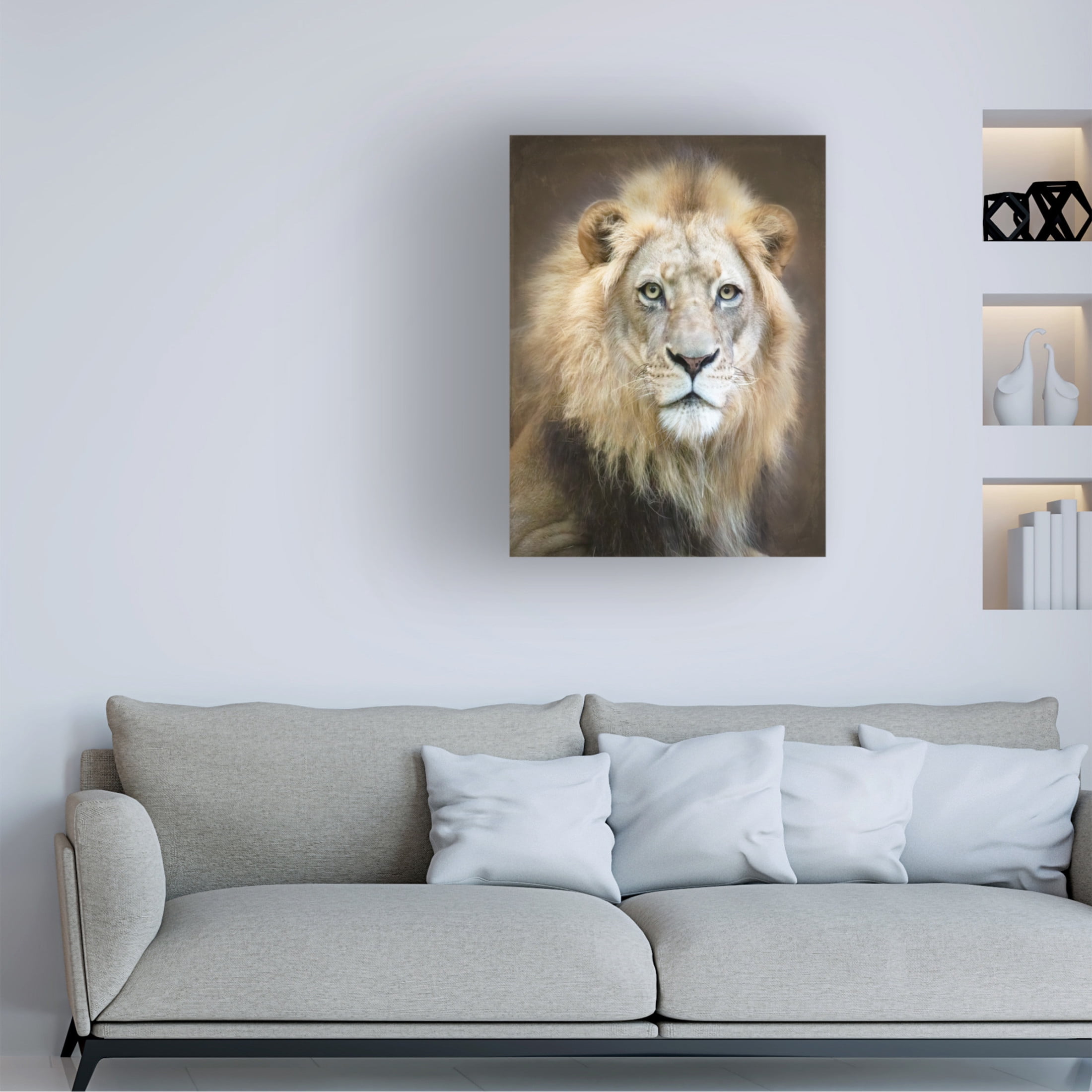 Trademark Fine Art Linda D Lester Portrait Of A Young Male Lion Canvas Wall Art