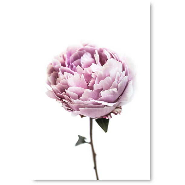 Awkward Styles Canvas Art Peonies Canvas Wall Decor For Office Inspirational Canvas Prints Foliage Room Decor Pink Peony Framed Art Original Vinyl Art Beautiful Floral Artwork Home Decor Ideas Walmart Com