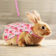 thumbnail image 3 of 3 Sets Pet Rabbit Bunny Dress Small Animal Harness Vest and Leash Set Walking Vest Harness for Rabbit Hedgehog Ferret Guinea Pigs Piggies Squirrel, 3 of 7