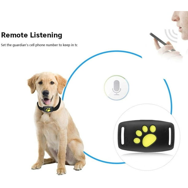 Dog collars with gps locator sales