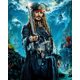 thumbnail image 1 of Disney Pirates of the Caribbean diy diamond painting full square/round diamond embroidery mosaic diamond stitch home decorround 60x80cm Gao Jinjia LED, 1 of 2