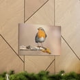 thumbnail image 6 of Majestic Robin Art Majestic Robin Print Animal Wall Art Wildlife Canvas Prints Wall Art Ready to Hang Unframed, 6 of 18