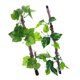 thumbnail image 5 of CHICHUMID 2Ud Trepadoras Artificiales Para Terrario De Reptiles Con Ventosas Para Hábitats Naturales, 5 of 8